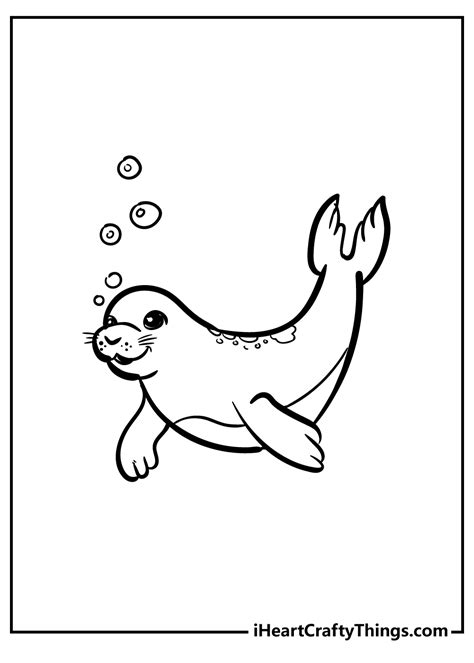 seals activity  coloring pages