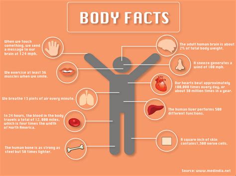 body facts tommiemedia