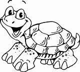Schildkröte Ausmalbilder Ausmalen Tiere Schildkröten Bilder Malvorlagen Von Baby Ch sketch template