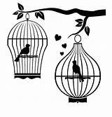 Bird Cage Coloring Pages Couple Separated sketch template