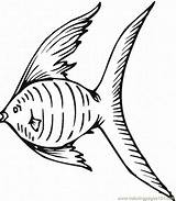 Fish Coloring Angel Library Clipart Reef Coral Angelfish sketch template