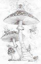 Mushroom Dragon Coloring Fairy Drawing Deviantart Pages Drawings Faeries Arts Fantasy Evil Mushrooms House Pencil Whimsical Adult Color Sketch Draw sketch template