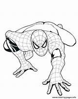 Coloring Spiderman Pages Spider Man Easy Marvel Boys Amazing Head Face Print Upside Down Comics Printable Hanging Getcolorings Getdrawings Colorings sketch template