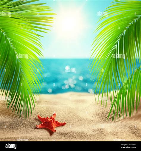 beautiful tropical beach background summer landscape  coco palms