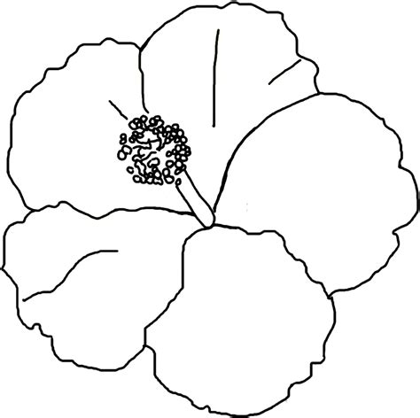 cut  printable hibiscus flower template
