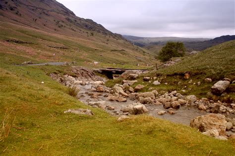 wooden bridge  stream