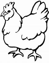Chicken Coloring Pages Kids sketch template