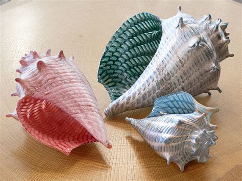 Optic Conch Shells By Treg Silkwood Art Glass Sculpture Artful Home