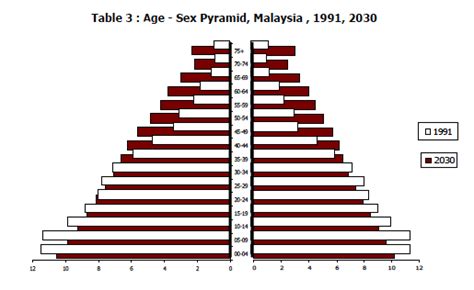 socialhands age sex pyramid malaysia 1991 2030
