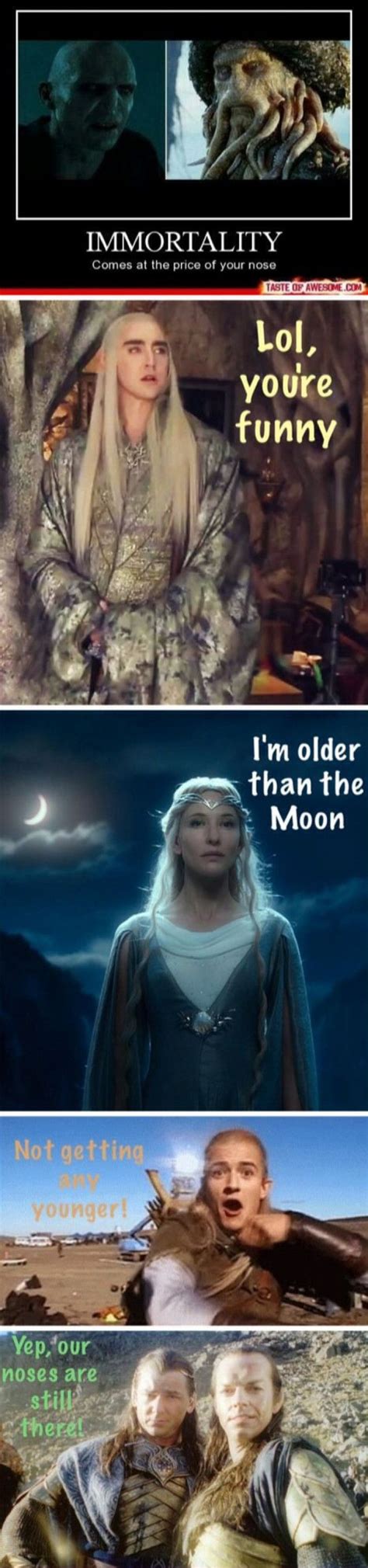 pin  ladblab  memes lotr funny  hobbit lord   rings
