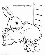 Easter Coloring Sheet Sheets Color Pages Printing Help sketch template