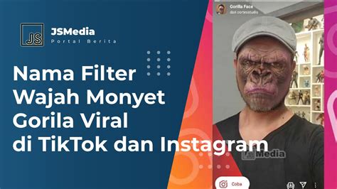 Nama Filter Wajah Monyet Gorila Viral Di Tiktok Dan Instagram