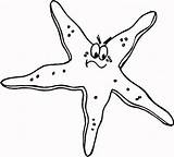 Starfish sketch template