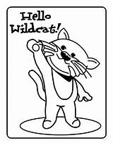 Wildcat Designlooter sketch template