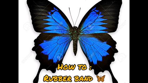 butterfly  rubber band youtube