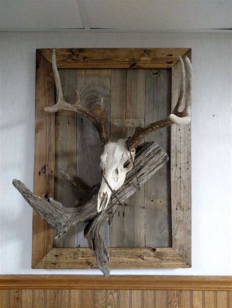custom plaque  european mount skulls horns taxidermy etsy