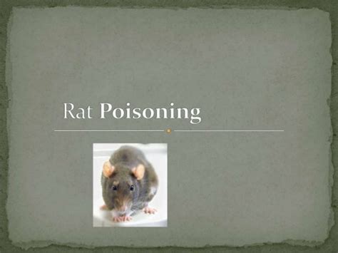 rat poisoning management