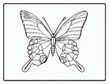 Papillon Schmetterling Popular Coloringhome sketch template