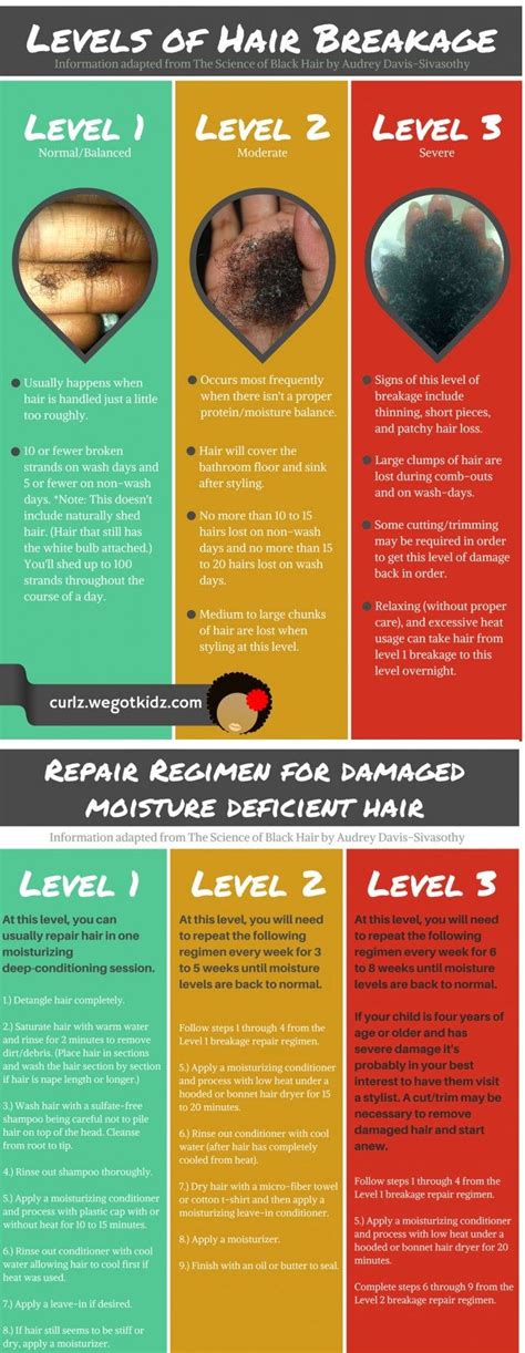 damaged hair repair regimen  moisture deficiency