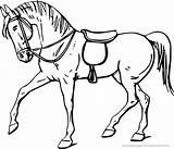 Pferde Pferd Ausmalbild Malvorlage sketch template