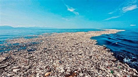global alliance launched    plastic waste   oceans milestones news