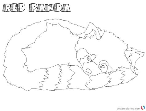 realistic red panda coloring pages sleeping  printable coloring pages