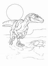 Coloring Velociraptor Pages Printable sketch template
