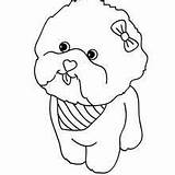 Coloring Pages Dog Puppy Maltese Face Hellokids Getcolorings sketch template
