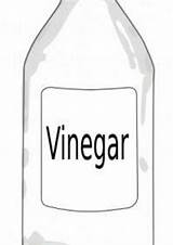 Vinegar Clipart Jar Clip Clipground Bottle sketch template