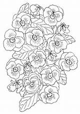 Blumen Bloemen Kleurplaten Ausmalen Animaatjes Mewarnai Pintarcolorir Pansey Malbild Animasi Bergerak Malvorlagen1001 1954 Gify Gedownloadete Meist Artikel sketch template