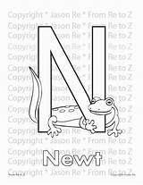 Newt Printable Abcs Coloring Alphabet Letter sketch template