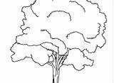Tree Coloring Roots Pages Getcolorings Color Getdrawings sketch template