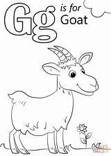 Goat Letter Coloring Pages Preschool Baby Printable Alphabet Words Start Sheets Kids Color Worksheets Colouring Drawing Preschoolers Kindergarten Supercoloring Abc sketch template