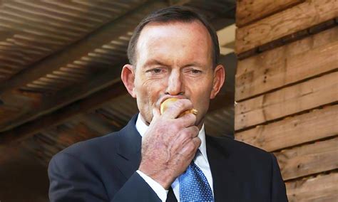tony abbott receives queen s birthday honour for contribution to