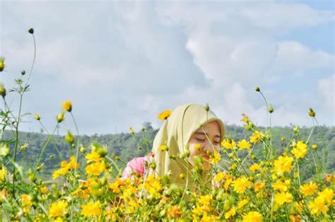 15 wisata taman bunga di indonesia yang membuatmu serasa di luar negeri
