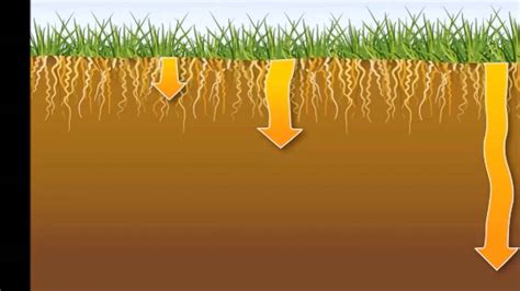 soil chemical properties soil ph uitm jasin youtube
