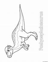 Pachycephalosaurus sketch template