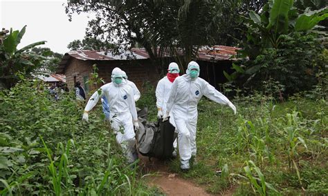 ebola   guardian reported  outbreak   mystery disease   world news