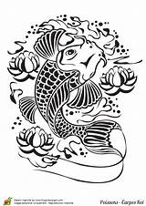 Carpe Koi Poisson Hugolescargot Colorier Pochoir Visiter Fleur sketch template