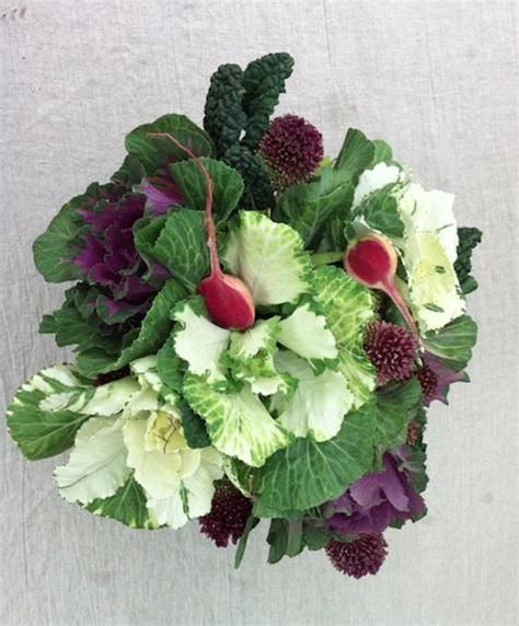 9 best images about cabbage decor on pinterest more kale
