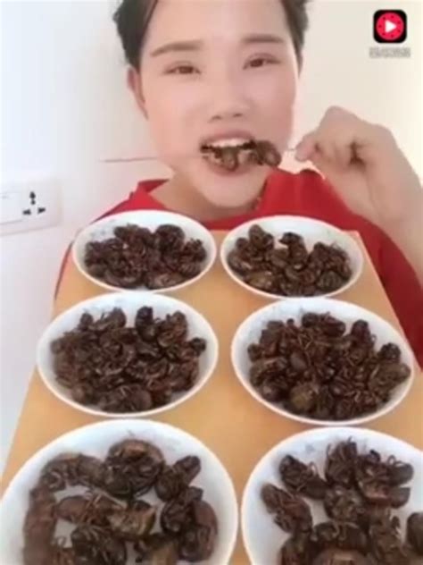 chinese girl eats bugs says she loves its crunchy taste