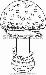 Agaric Amanita Muscaria sketch template