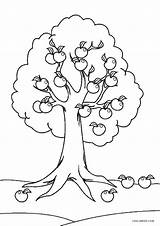 Tree Coloring Pages Printable Apple Kindergarten Worksheet Kids Worksheets Sheets Drawing Cool2bkids Template sketch template
