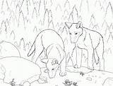 Pups Coloringhome Pigs Wolves sketch template