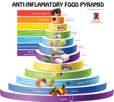 anti inflammatory food pyramid  food  xxx hot girl