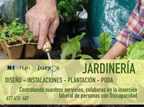 Contrata Nuestros Servicios De JardinerÍa – Fundación Los Pueyos