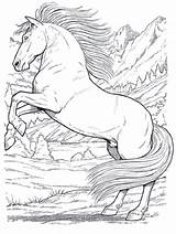 Ausmalbilder Ostwind Pferde sketch template