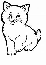 Cat Coloring Pages Cats Printable Colouring Color Sheets Sheet Print Kitten Drawing Coloringpages1001 Kitty Cute Pet Kids Cartoon Chat Colour sketch template