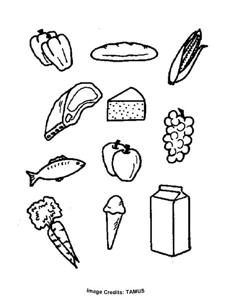 healthy food coloring pages coloring home