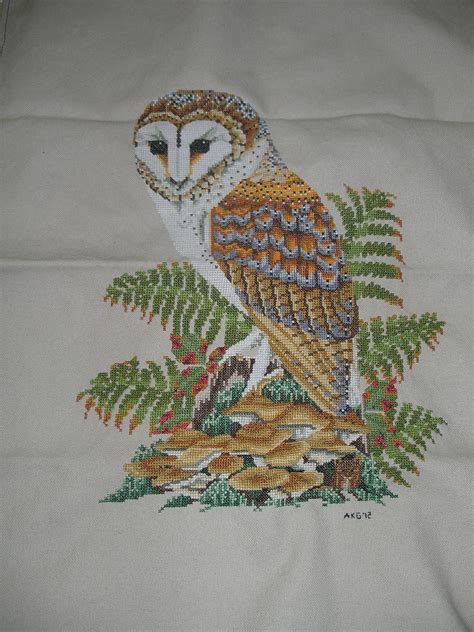life sew crafty cross stitch barn owl